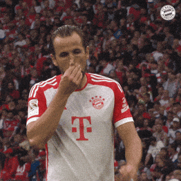 Harry Kane Bundesliga GIF by FC Bayern Munich