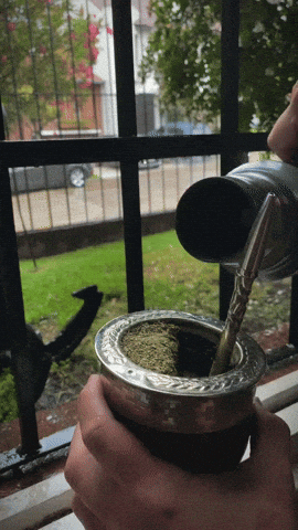 Yerba Tomamate GIF by Pampa Direct