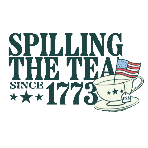 Usa America Sticker by TPUSA Students