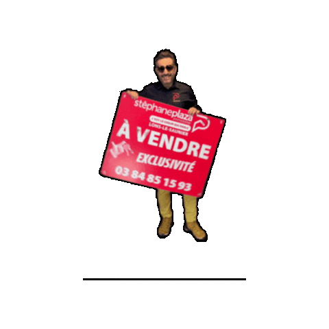 Plazalonslesaunier Sticker by Stéphane Plaza Immobilier