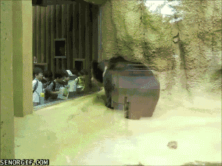 heavy metal dancing GIF by Cheezburger