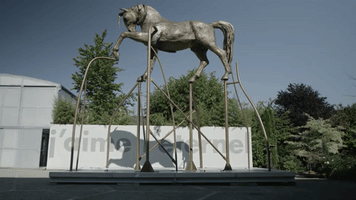 FORAFILM  GIF