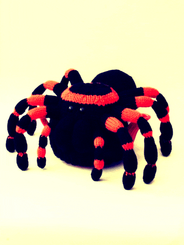 Halloween Spider GIF by TeaCosyFolk