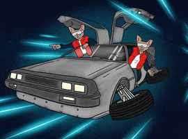 Driving Back To The Future GIF by CETS