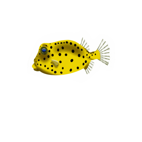 Fish Sticker