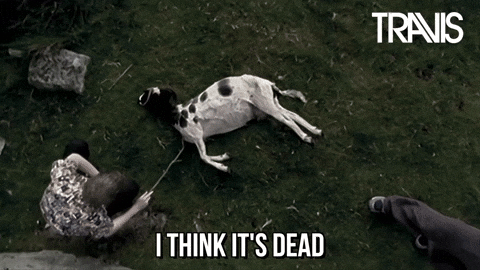 I-think-its-dead GIFs - Get the best GIF on GIPHY