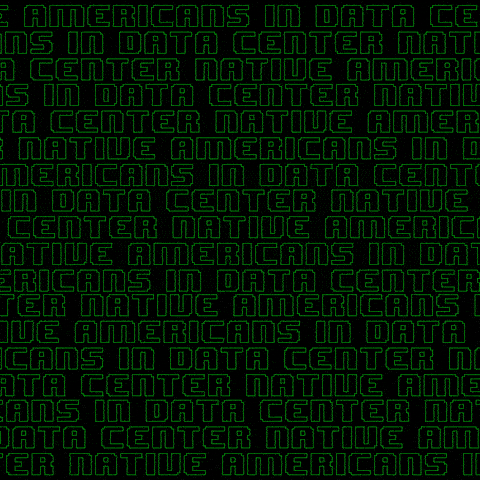 Center Native Americans in data