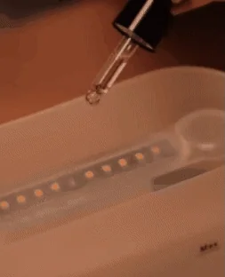 GIF Animado