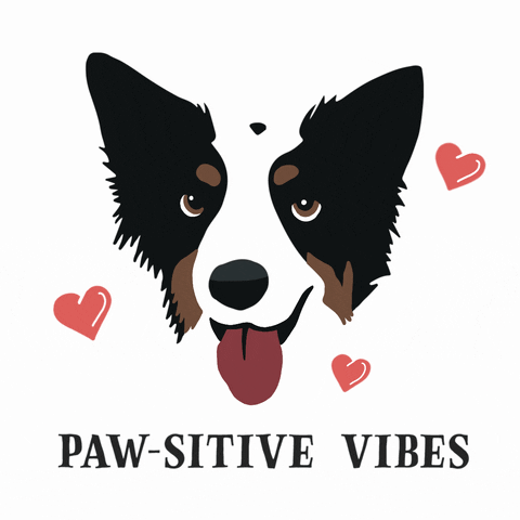 Braxton's Kitchen GIF