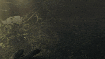Metro GIF by Deep Silver