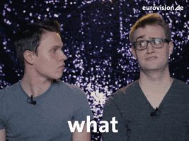 eurovision wtf GIF by NDR