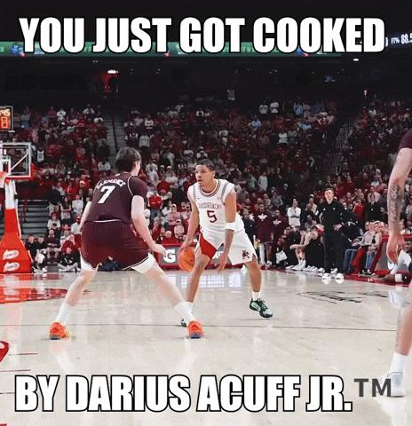 Arkansas Razorbacks Basketball GIF