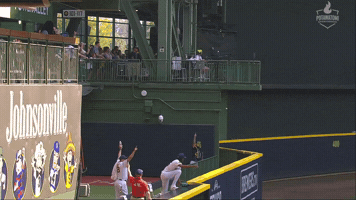 Home Run Sport GIF by MLB