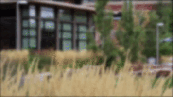 200.gif?cid=fc005b08d9a67d0d4cb5a6cfb5d6e6cf3889e8b6d254dc2a&rid=200.gif&ct=g
