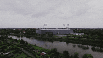 200.gif?cid=fc005b088c1e6420302ad69b9e7b28e9eb9a9dab72c71c3f&rid=200.gif&ct=g