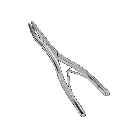 Quinelato Sticker