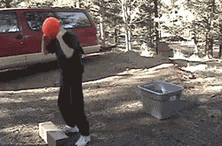 giphy.gif?cid=cd381a3e5d3b588e566a393949