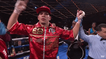 New York City Win GIF by Top Rank Boxing
