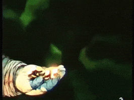 Money Gold GIF