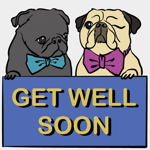 get well soon bulldog