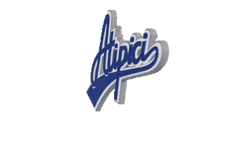 Playoffs Streetwear Sticker by ATIPICI