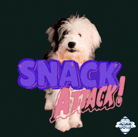 Eat Dog Food GIF by Puppy Bowl