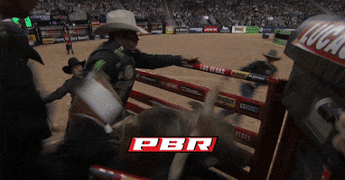 GIF by Professional Bull Riders (PBR)