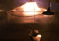 giphy.gif?cid=790b76115d2cd43d386c56506375a57d&rid=giphy.gif