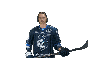 Hockey Sticker by HK Poprad