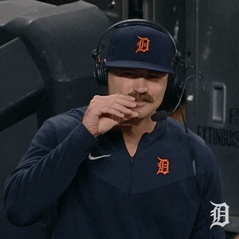 Major League Baseball Smile GIF by Detroit Tigers