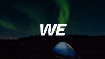 NOBEARS GIF
