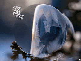 200.gif?cid=fc005b0861a0df2517a0bd3860fb0b84778d2d2278cbc2ee&rid=200.gif&ct=g