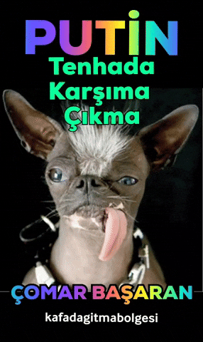 Putin Kadıköy GIF