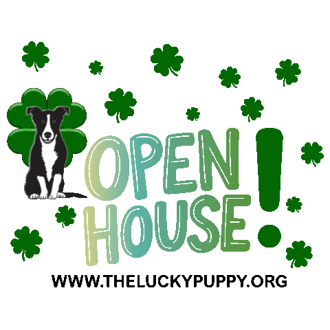 Adopt Me Open House Sticker by Morgan