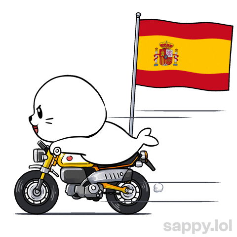 Lets Go Football GIF by Sappy Seals