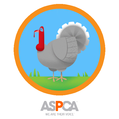 Farm Animal Turkey Sticker by ASPCA