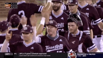 Celebrate Blue Bell Park GIF by Texas A&M University