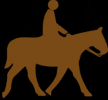 Horseback Riding Horse GIF by TeamAMPL