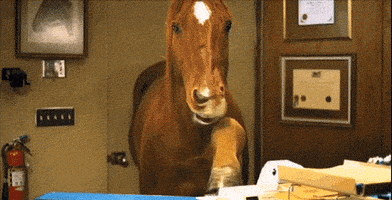 Horse Working GIF by ADWEEK