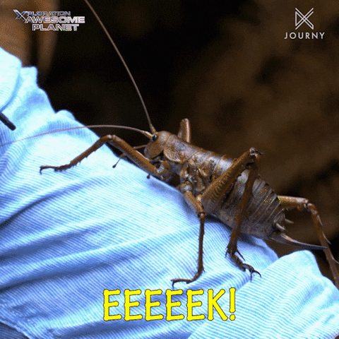 Ew Insect GIF by Ovation TV