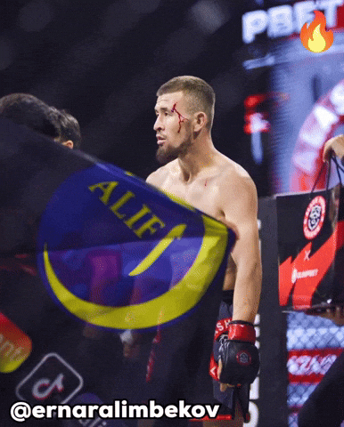 Ufc Mma GIF