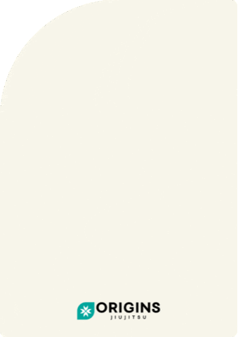 GIF by Origins Martial Arts