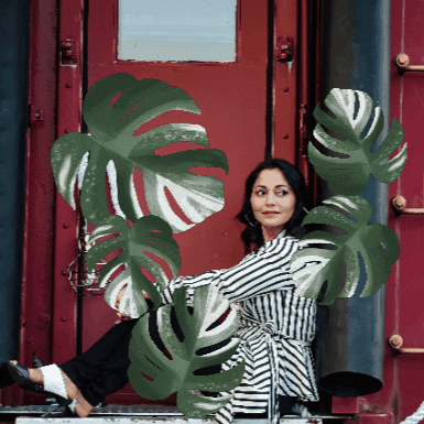 GIF by Nisha Tailor Interior Design