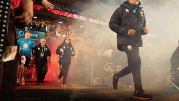 Dickie GIF by NZWarriors