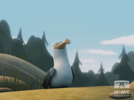 Angry Bird GIF by 10e Ave Productions