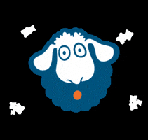 asuar_communication sheep pecora asuar GIF