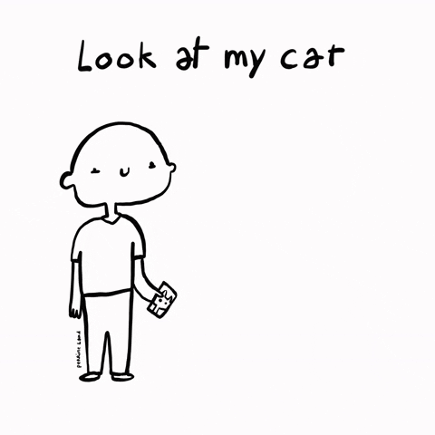 Look At It Cat Lady GIF by Perrine Land
