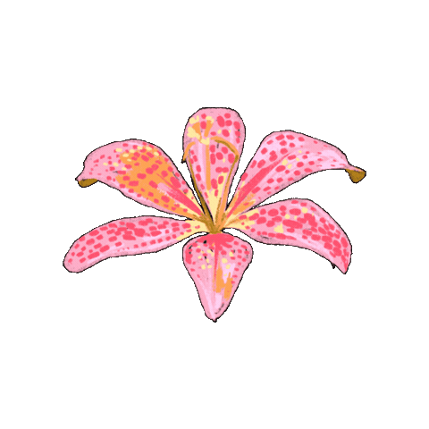Flower Casetify Sticker