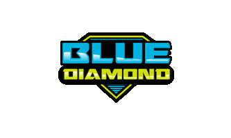 Blue Diamond Detailing Sticker
