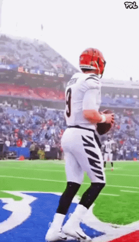 Nfl Joe GIF by The Undroppables